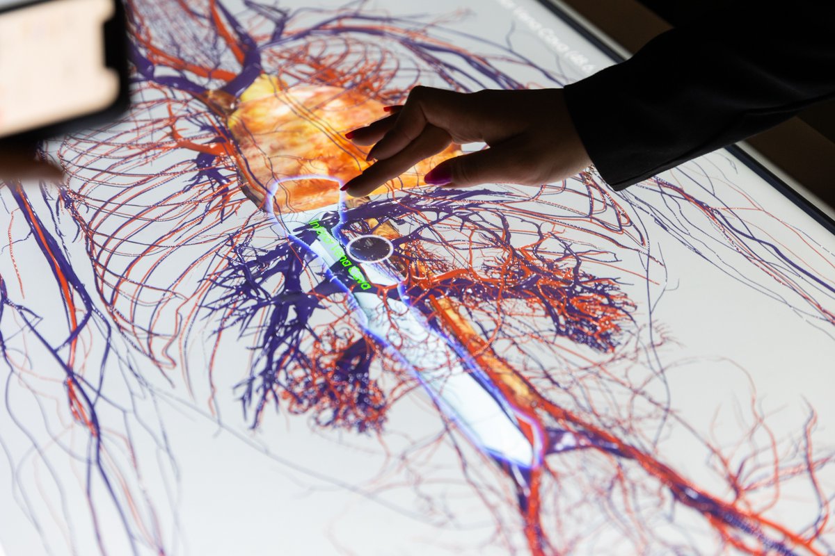 As Idaho's designated leader in health care education, @IdahoStateTech has added a new Portable Anatomage Table! The smaller, portable table is more accessible, enhancing educational experiences for various health occupation programs.🧠🫀🫁 Read more at isu.edu/news/