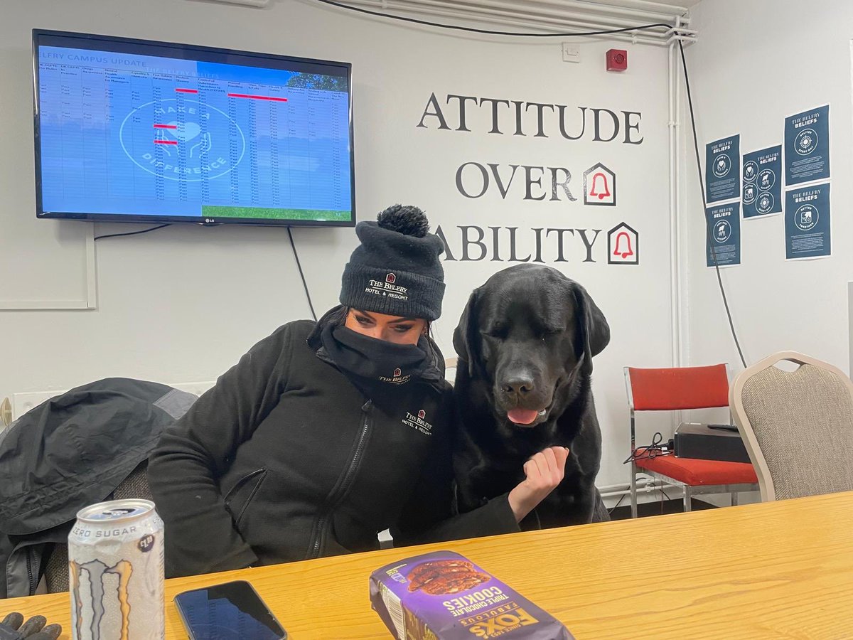 ⁦@DogsOfTurf⁩ ⁦⁦@dog_rates⁩ ⁦@GreenkeeperMiss⁩ caption this ! Who wants it more ? 🐕‍🦺⁦@TheBelfryHotel⁩ ⛳️🏌️‍♂️