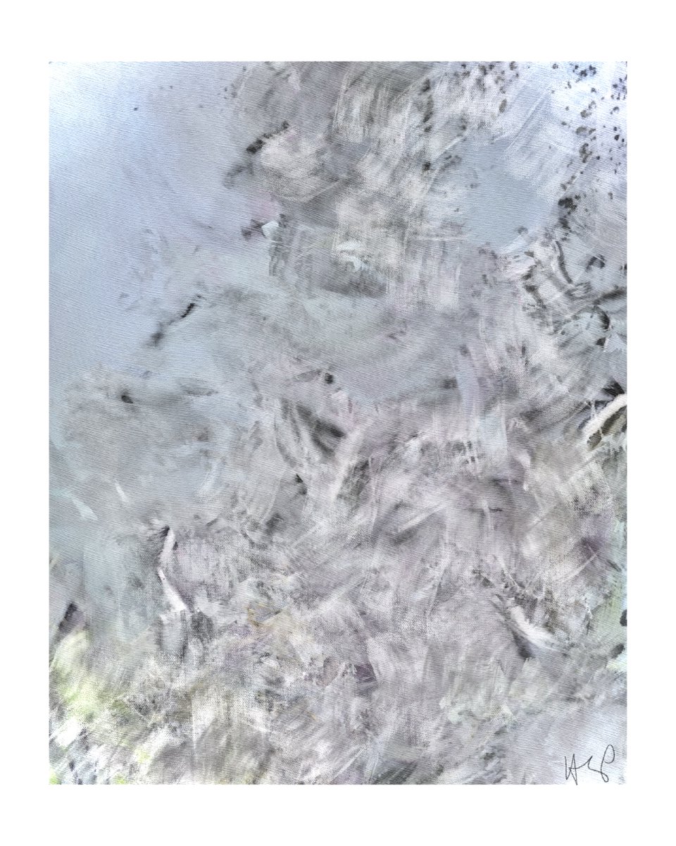 my life as a feather