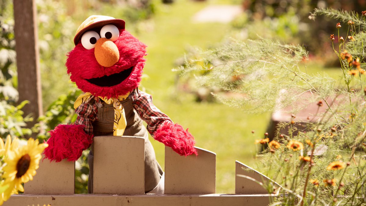 elmo's tweet photo. Happy Earth Day, everybody! Elmo hopes you are having a sunny day! And if it's not sunny, that's okay. Elmo is sure it will be sunny again soon. ❤️☀️ #EarthDay https://t.co/oNvqbSGNr4