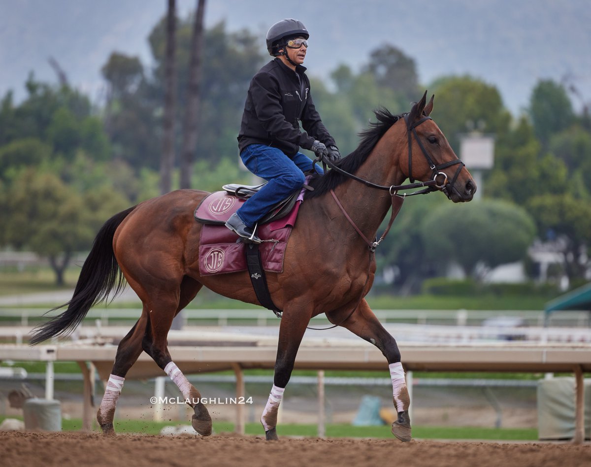 Mouffy worked 4F in 48.60 under Umberto Rispoli inside of Mrs.Astor with HoF jockey Mike Smith in the irons for trainer Johnathan Thomas @santaanitapark @ThomasStables @umbyrispoli @mikeesmith10