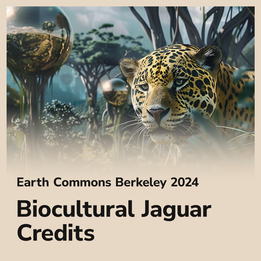There is a bold experiment happening deep in the Amazon rainforest, using blockchains to fund indigenous ancestral stewardship through the advent of biocultural “jaguar credits”. It’s kind of like a carbon or biodiversity credit, but not tradable, and rooted in local governance…