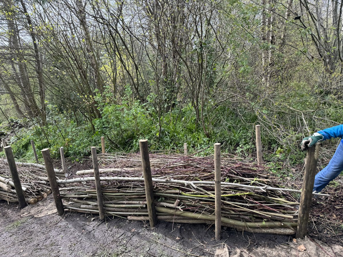 Heather Leigh tweet media