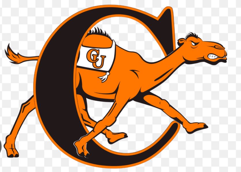 Beyond blessed to receive an offer by Campbell University🧡🖤 #AGTG✝️🙏🏽@CoachRidings @LMHS_HawksFTBL
