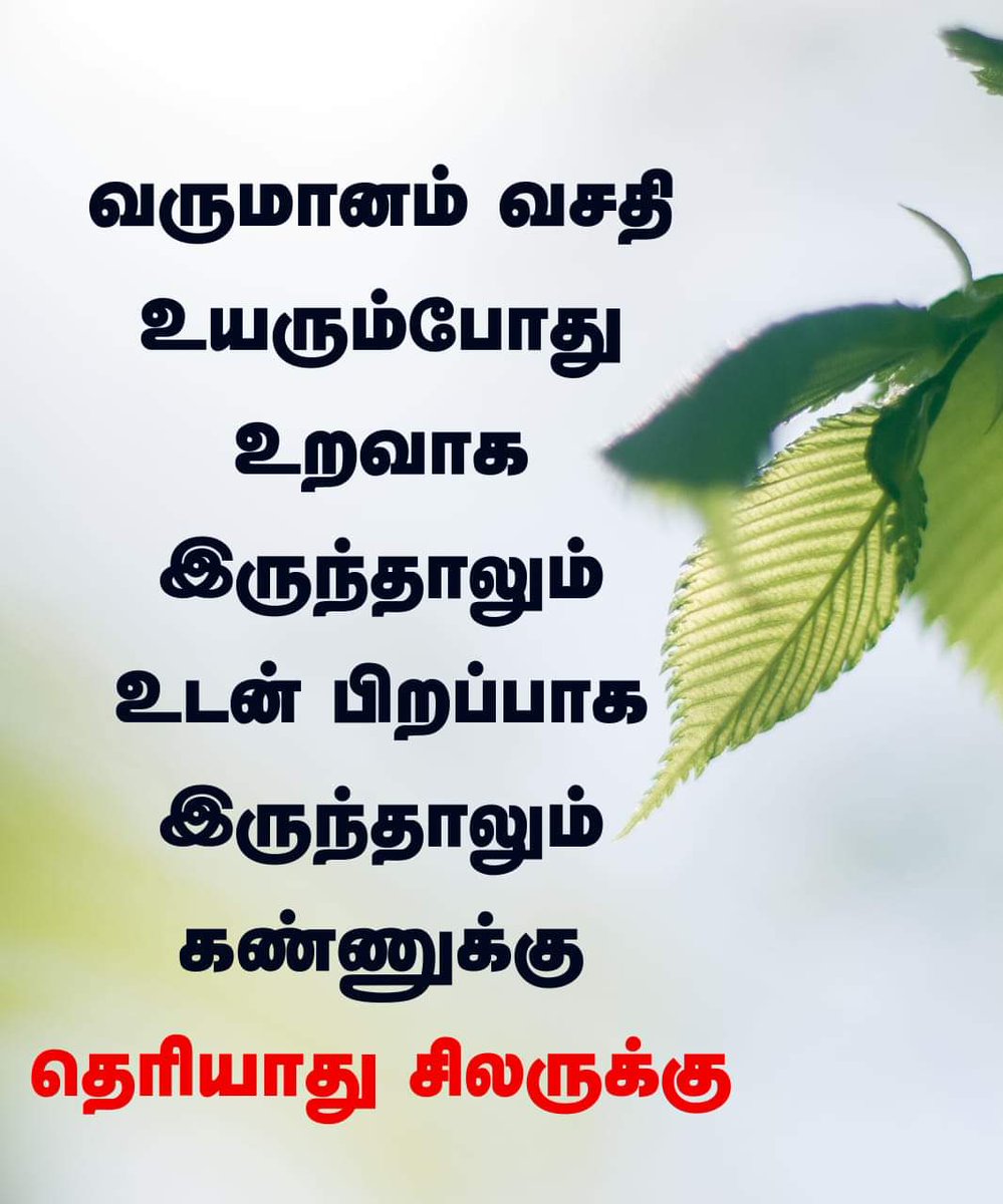 Vadivelu Memes (@Vadivelumeme) on Twitter photo 2024-04-19 20:17:11