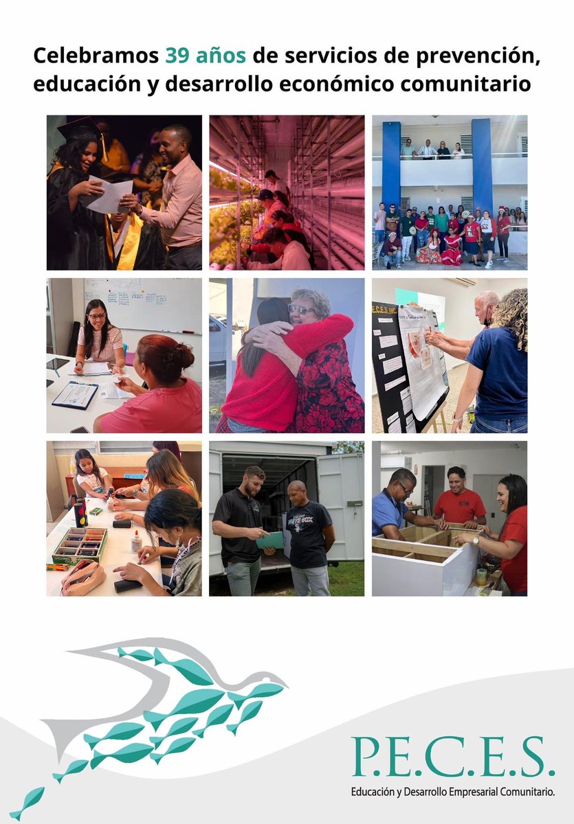 P.E.C.E.S., Inc. tweet media