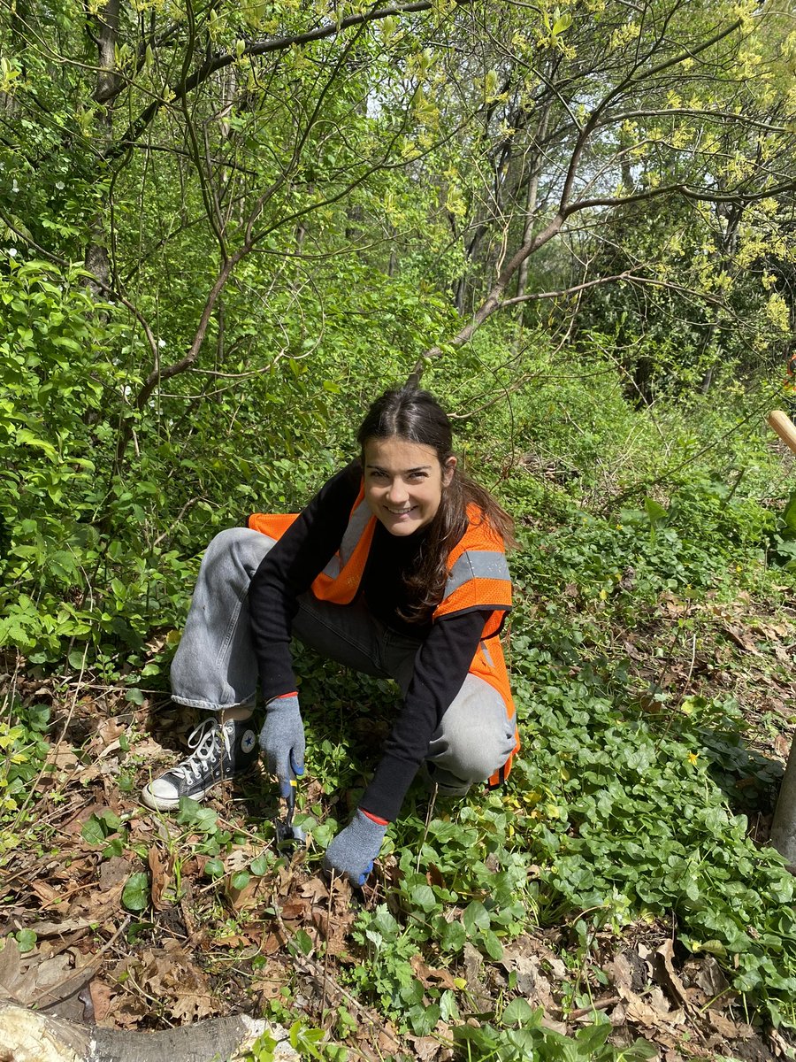 To mark Earth Day, our consulate staff was invited by @GermanConsulate to join forces with @NYCmorningside friends, who are doing great work to maintain and enhance #MorningsidePark. Together, we engaged in cleaning and gardening activities. 🌍🌿 #EarthDay #FranceInNYC