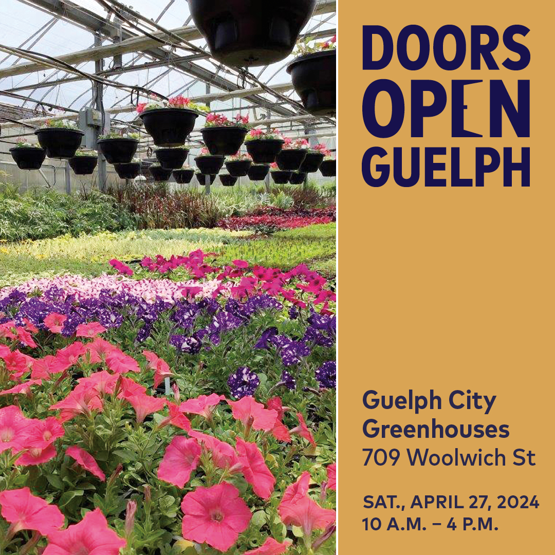 Doors Open Guelph is coming up Saturday, April 27! Be sure to include a visit to the Guelph City Greenhouses. Plan your day and see all participating sites here: guelph.ca/living/arts-an…