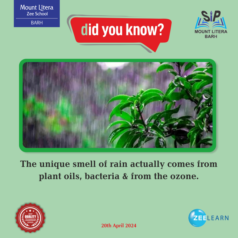 Did you know?
The unique smell of rain actually comes from plant oils, bacteria & from the ozone.
📷 𝐂𝐚𝐥𝐥 𝐟𝐨𝐫 𝐦𝐨𝐫𝐞 𝐝𝐞𝐭𝐚𝐢𝐥: 7033338888 | 7033339999
📷 Visit: mountliterabarh.com
#mountliterazeeschoolbarh #bestschoolbarh #mlzs