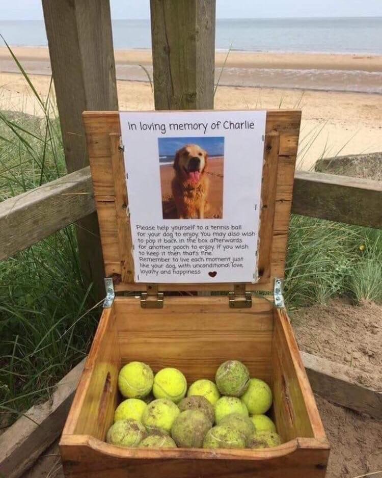 _XDogs's tweet photo. a real loving memory! https://t.co/wYizy87bFD
