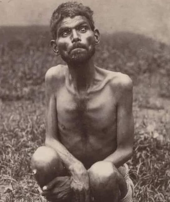 En 1867, un grupo de cazadores que merodeaban por la jungla india de Uttar Pradesh divisó una guarida de lobos y comenzó a acercarse con cautela. Pero, para su sorpresa, descubrieron que uno de los miembros de la manada era un niño pequeño de unos seis años. Los cazadores…