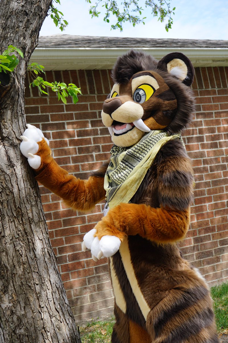 Healing takes time… I’m so grateful for everyone around me, helping me to keep moving forward ✨ . . 👔🪡: @MulticolorBark #FursuitFriday