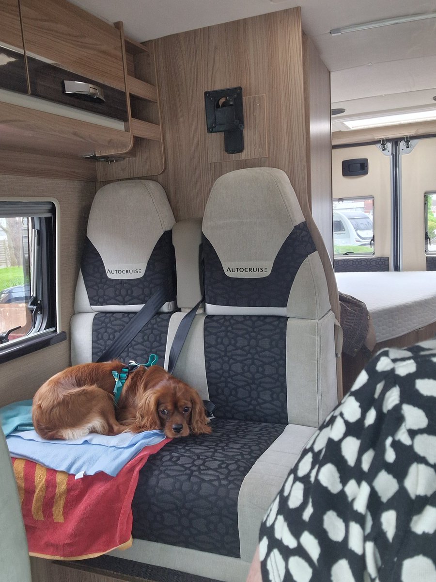 It's been 12 days since my PA last posted. She's had a right telling off and promises it won't happen again. #itstoughbeingadog. In other new we have pur new campervan and I've got a big seat all to myself 💙 #FridayFeeling