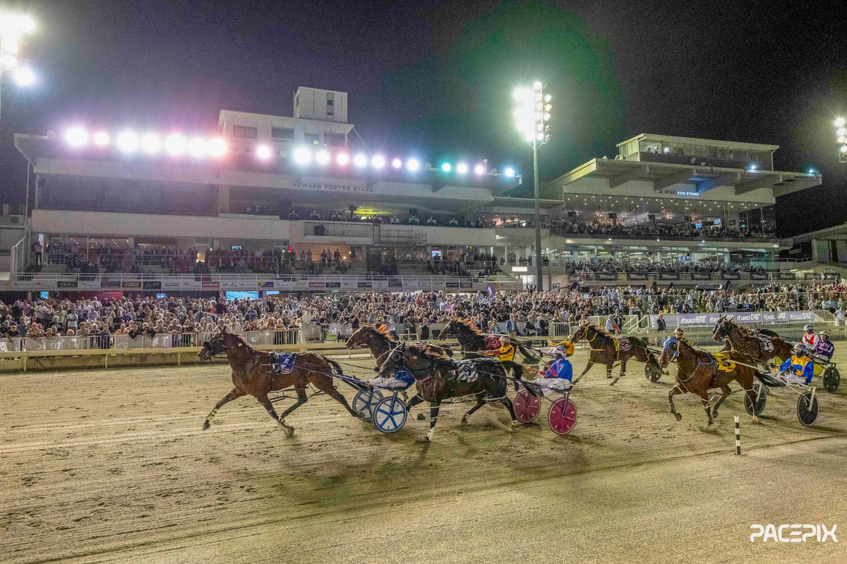 WOW the Nullarbor Kate & Catch A Wave BOOM but what about Minstral, Swingband, and Lavra Joe HUGE
and this has to win @harnessaus media photo of the year by @Pacepix_AU 
@TheTrotsWA @GloucesterPark