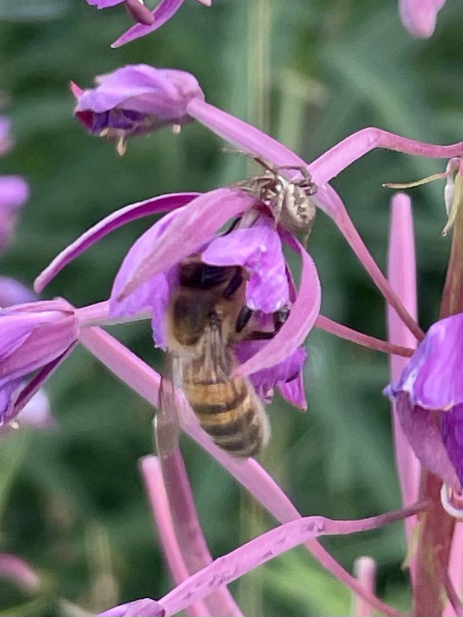 Save RyeBank Fields 🍃💚🍃 tweet media