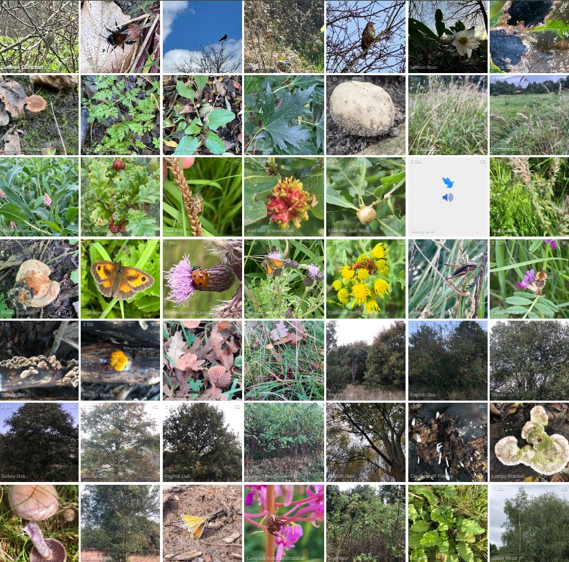 Save RyeBank Fields 🍃💚🍃 tweet media