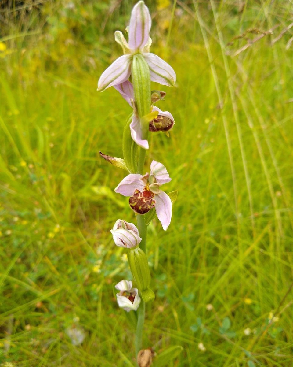 Save RyeBank Fields 🍃💚🍃 tweet media