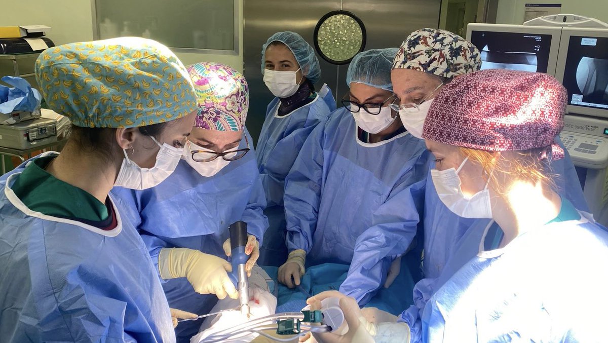 Eduardo Ortiz Cruz (@drortizcruz) on Twitter photo Hacer #cirugías de #sarcomas con clinical #fellowship <a href="/espi_hache/">Espe.H</a> <a href="/Laurasrsarcomas/">Laura</a> e internacional tumor Fellow (Gabi from Mexico) y estudiante #medicina es gratificante. Hacer escuela académica es clave #teaching & #learning. Hoy gran día! <a href="/bstt_course/">BSTT Madrid Course</a> <a href="/GrupoGeis/">GEIS</a> <a href="/asargasarcoma/">Asociación Sarcomas Grupo Asistencial 🎗</a> Hacer #cirugías de #sarcomas con clinical #fellowship <a href="/espi_hache/">Espe.H</a> <a href="/Laurasrsarcomas/">Laura</a> e internacional tumor Fellow (Gabi from Mexico) y estudiante #medicina es gratificante. Hacer escuela académica es clave #teaching & #learning. Hoy gran día! <a href="/bstt_course/">BSTT Madrid Course</a> <a href="/GrupoGeis/">GEIS</a> <a href="/asargasarcoma/">Asociación Sarcomas Grupo Asistencial 🎗</a>