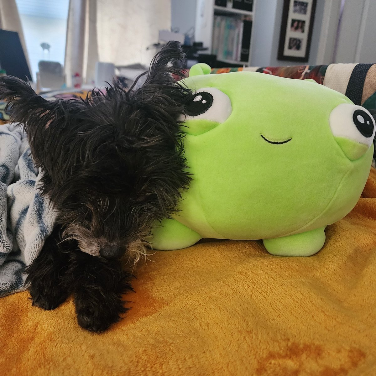 rendomarts's tweet photo. You're not a face-eater, you're a face...hugger!! 

@OlanRogers lookit what arrived in the mail today! Keep creating and keep being awesome! The fluffers and I look forward to the awesome things you have in store. Chookity-pop! 

#FinalSpace #Godspeed https://t.co/XiUi3XSfd3