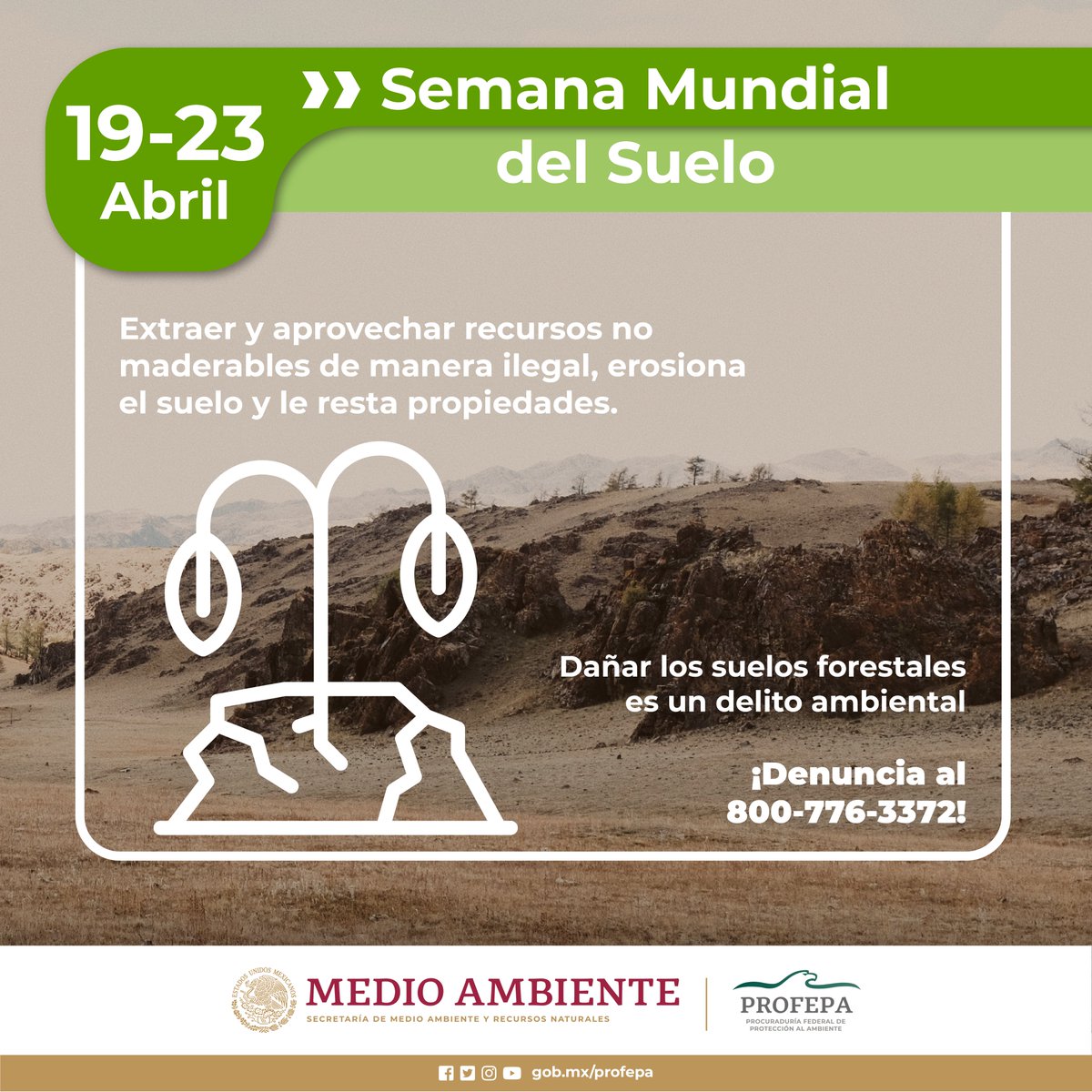 🌎 ¡Más suelo, más vida! En la #SemanaNacionalDelSuelo, cuidémoslo con conciencia y compromiso.