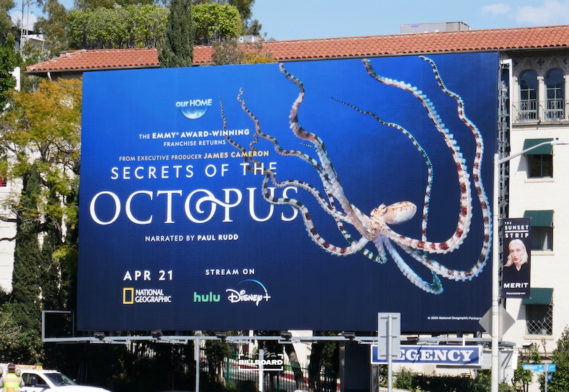 Get tangled up in #SecretsOfTheOctopus