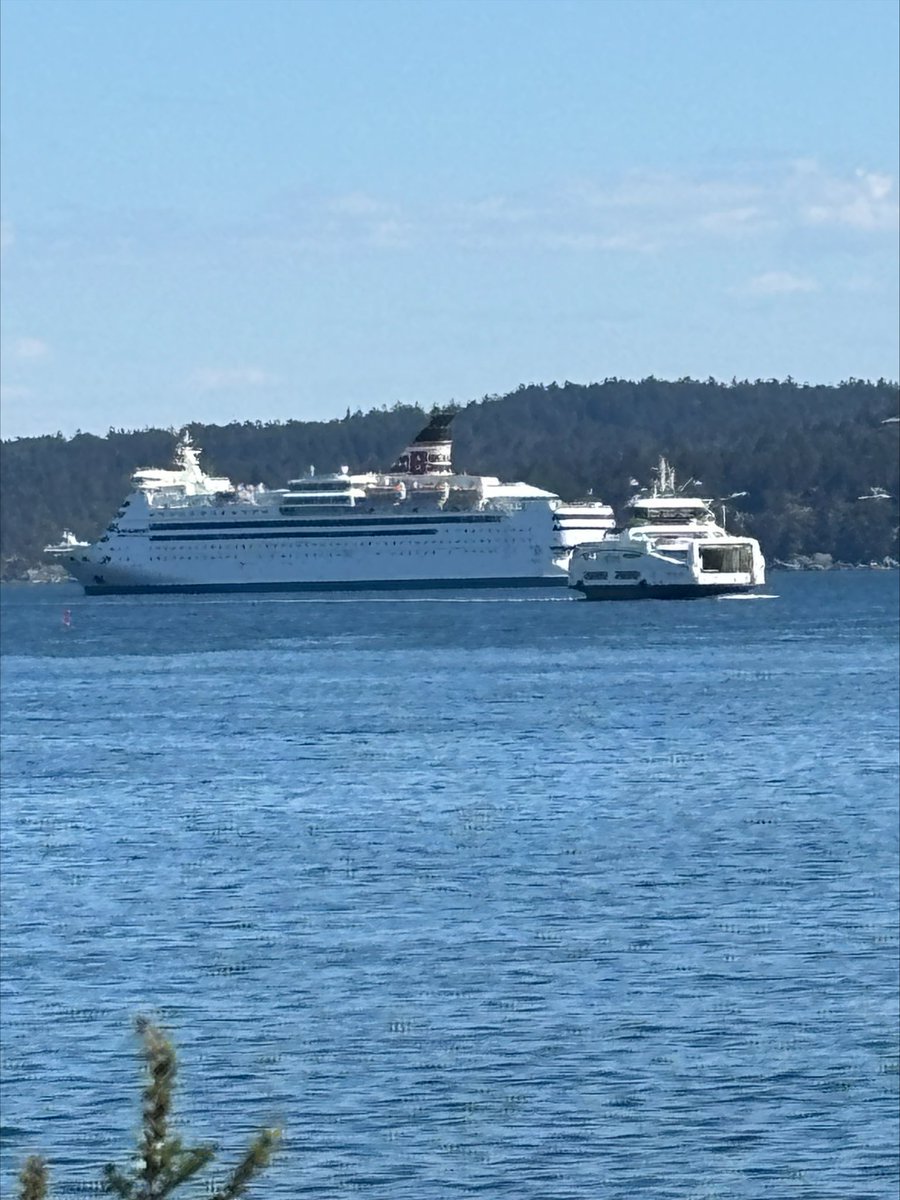 It’s a beautiful day for the boardwalk! Here’s KG’s stroll to see the BC Ferry 💦⛴️ at Cameron Island, if you need some inspiration for some #FunInTheSun this weekend while we still have it!!! ☀️👍 #Waterfront #ExploreNanaimo #GreatOutdoors