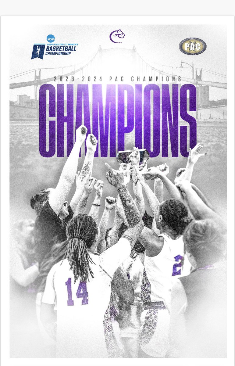 Chatham Women’s Basketball tweet media