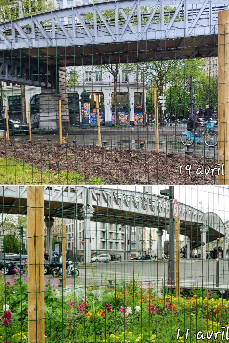 🌿💮🏵️🌺🥀🌼🌷🪻🌱☘️Pourquoi... 🤔 /11 avril-19 avril #PlacedelaBatailledeStalingrad #Paris19