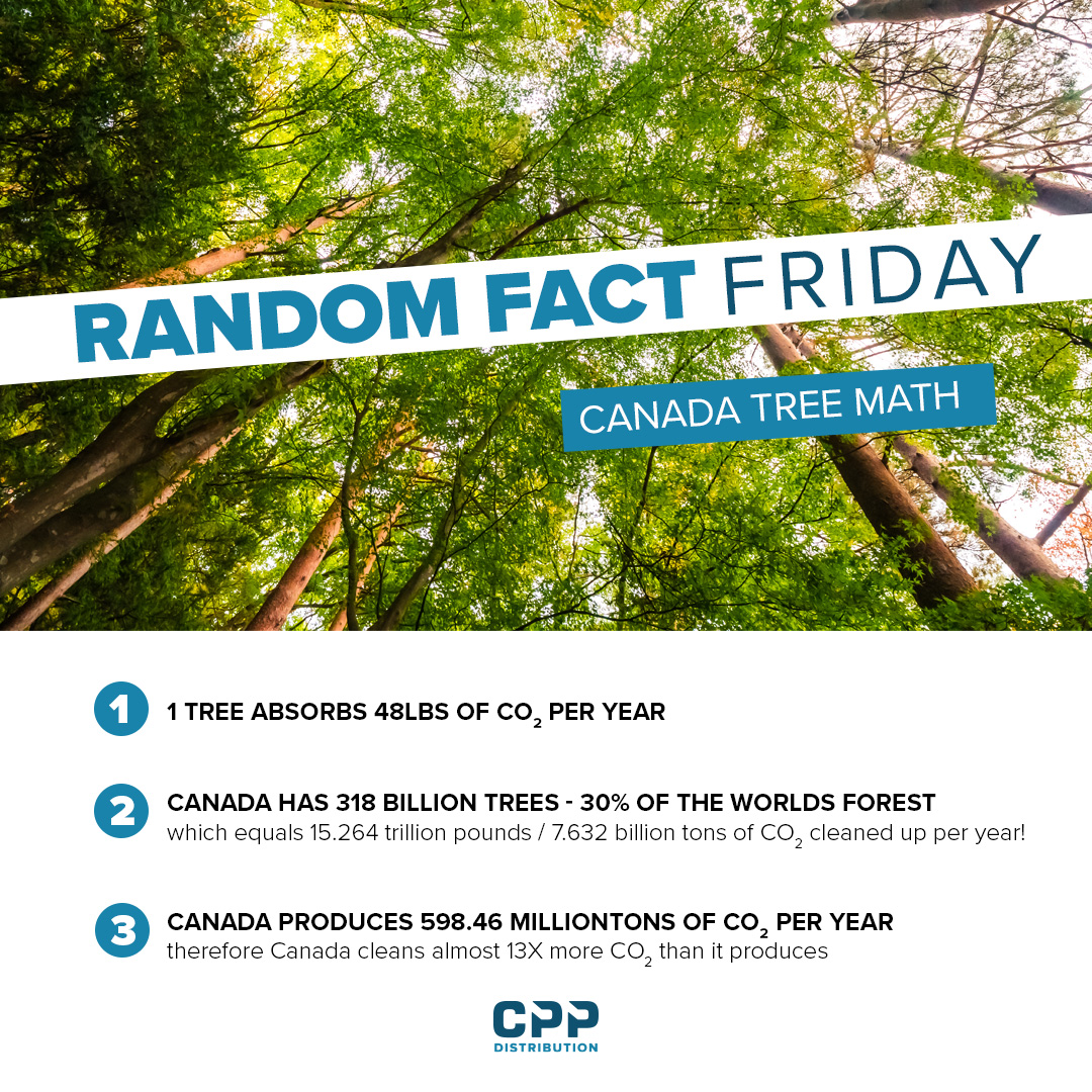 Approximately 40% of Canada's landmass is tree-covered. Spruce trees are among the most abundant. Happy Friday everyone and have a great weekend! 👈 #FunFactFriday #energy #cppdist