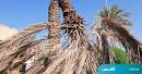 almilles's tweet photo. @BADER_LT وبعد خساير  المناقصات 
معروفه  هذي اخرتها  ��� https://t.co/x0b5Iw5dOE