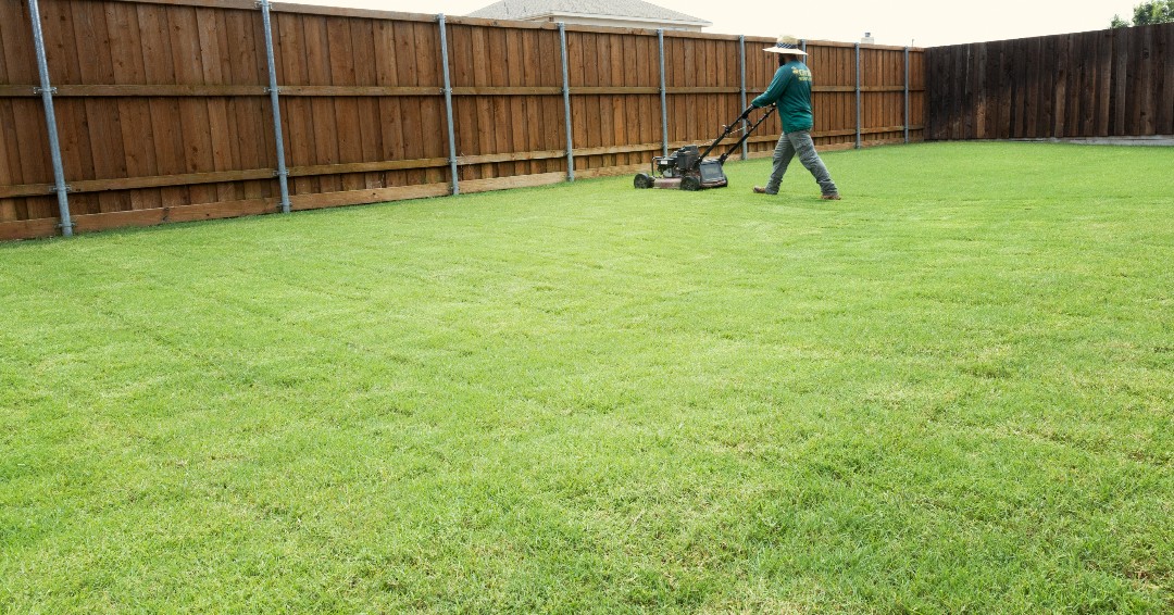 Trying to find the mow-tivation to start cutting your grass again? 🥴

Now you don't have to! We'll #mow your lawn throughout the growing season to keep it at an ideal height.

Call (972) 945-1514 to sign up for our #lawnmowing service!

cititurf.com/lawn-mowing/
