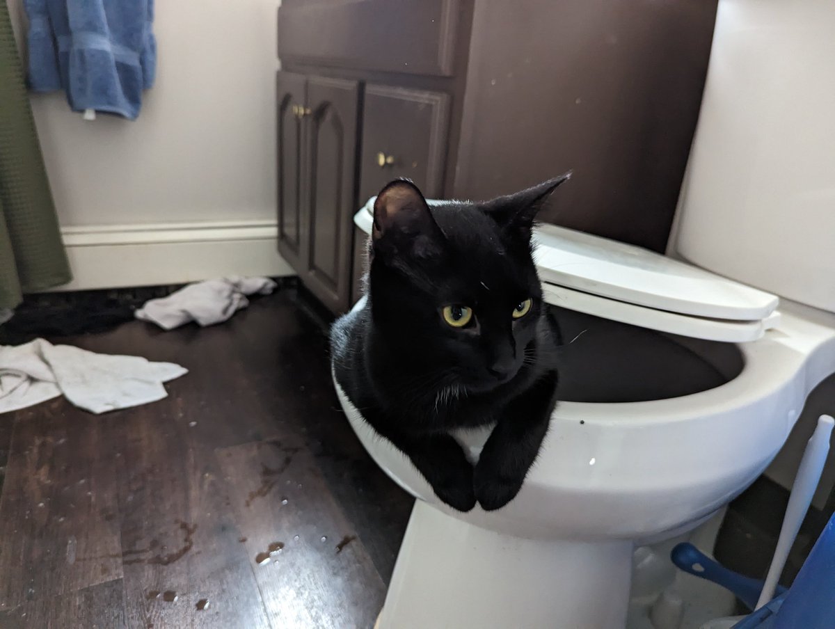 ML Beck 🔊 tweet media