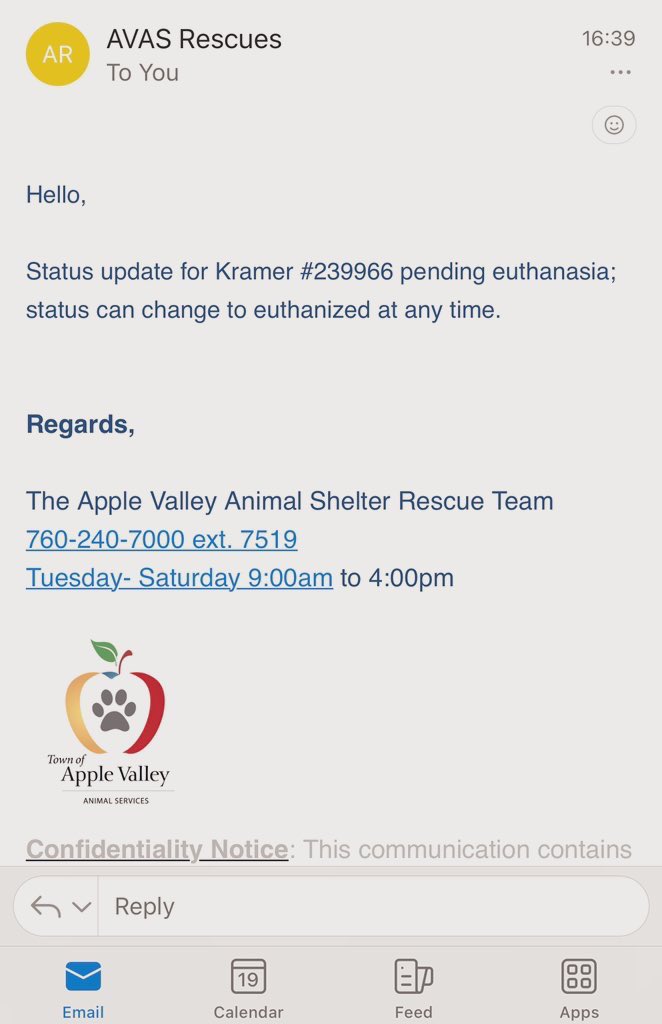 Kramer 1 yo can be euthanized at any time, if you are in #Califonia & can #foster it’s now 🆘🆘🆘🆘🆘🆘
#A239966 #AppleValley