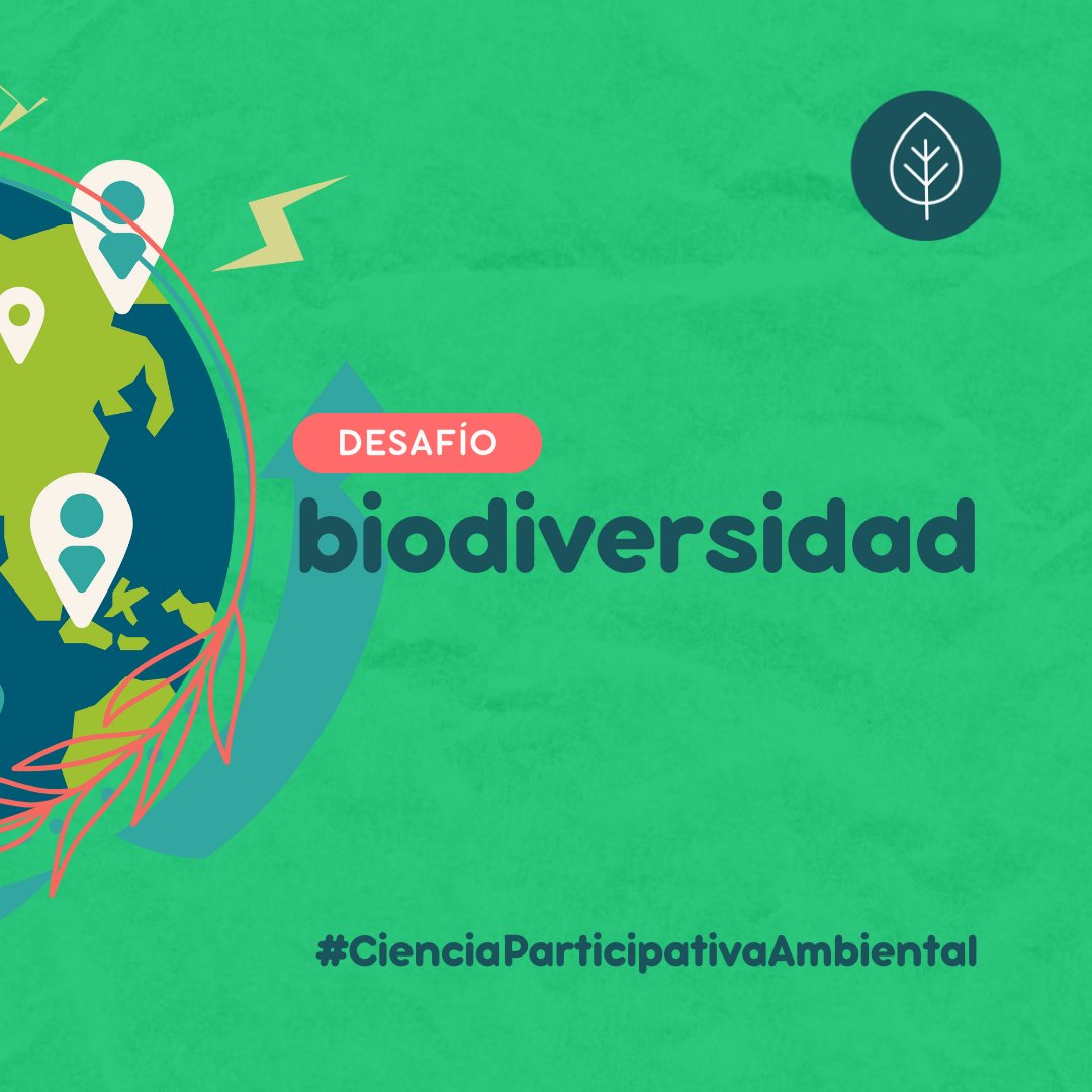 Codatecs's tweet photo. ¡Se vienen charlas, salidas 📷 y encuentros!
#ExpedicionesNativasRosario
En breve novedades... https://t.co/4MW8Y3ic1c