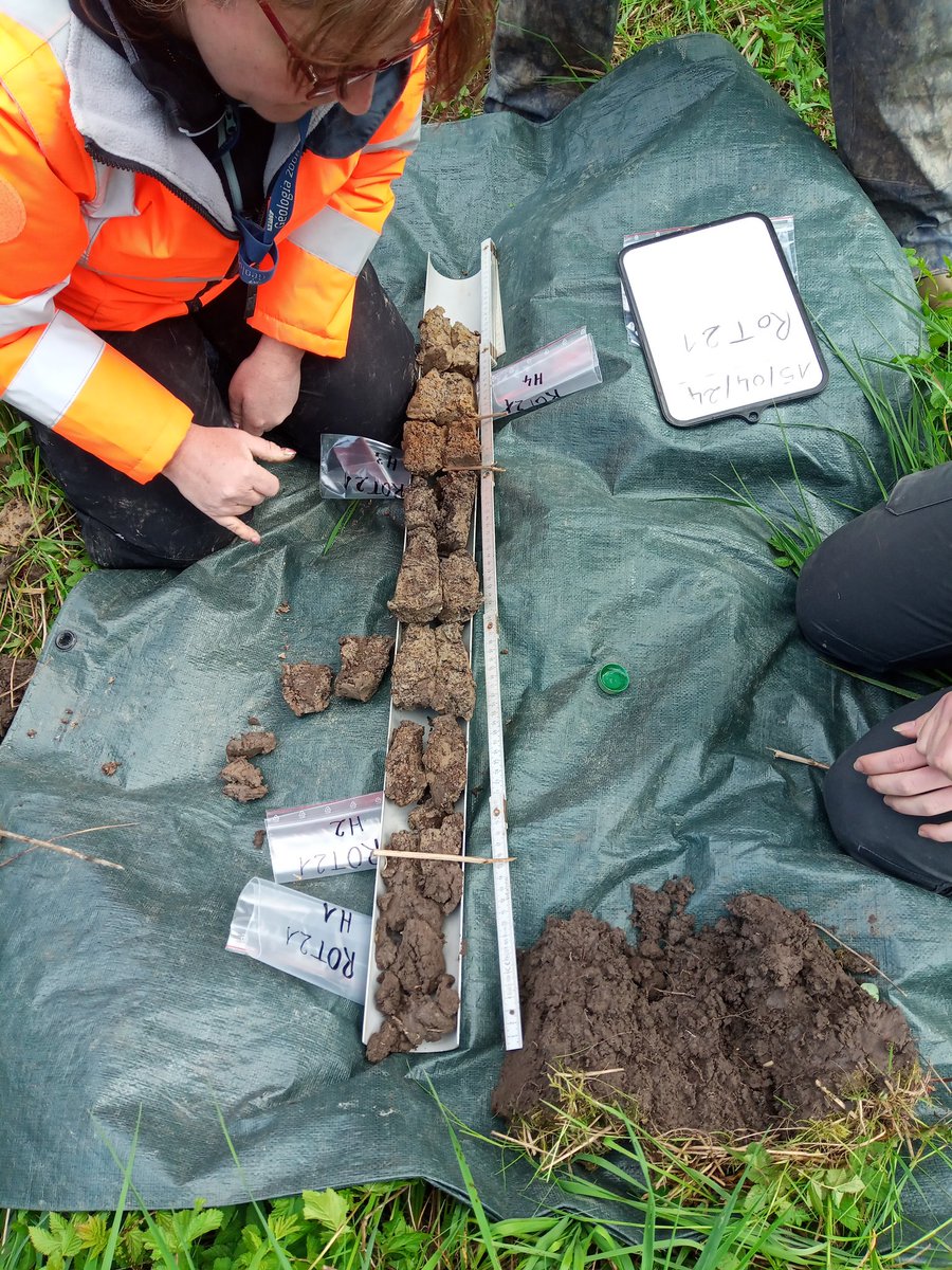 🏞️ Cette semaine c'était atelier pédologie et géomorphologie 🔬 Plus de 50 profils pour carto et anlyser les sols autour de l'habitat rural romain des Rothenstauden avec A. Poswa de <a href="/labo_liec/">LIEC</a> et A. Gebhardt de l'<a href="/Inrap/">Inrap</a>