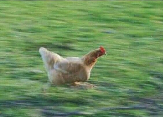 MemesUdeA tweet media