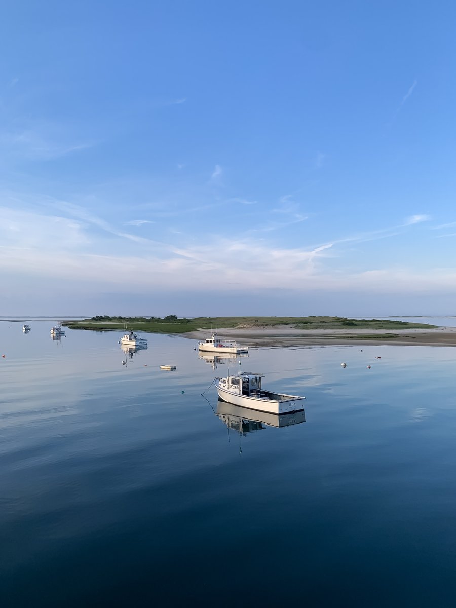🌍 Happy Earth Day! Being based out of Cape Cod, we are always in awe of its beauty! To the sandy beaches and marshes of the Cape Cod National Seashore, sunsets over Cape Cod Bay, and of course the incredible marine life, we take today to appreciate the Cape and what it offers!