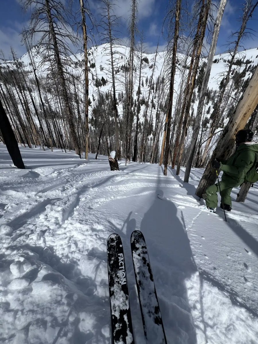 PowderMagazine's tweet image. A response to the tree-skiing haters from coast to coast...Tree skiing IS the ultimate art form powder.com/trending-news/…