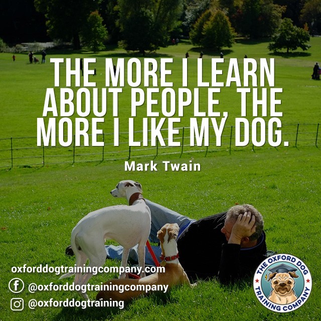 #dog #dogtraining #dogtrainingoxford #dogsarebetterthanpeople #quote #dogquote #dogs #dogtrainer #oxford #quotes #oxforddogtraining #oxforddogtrainingcompany