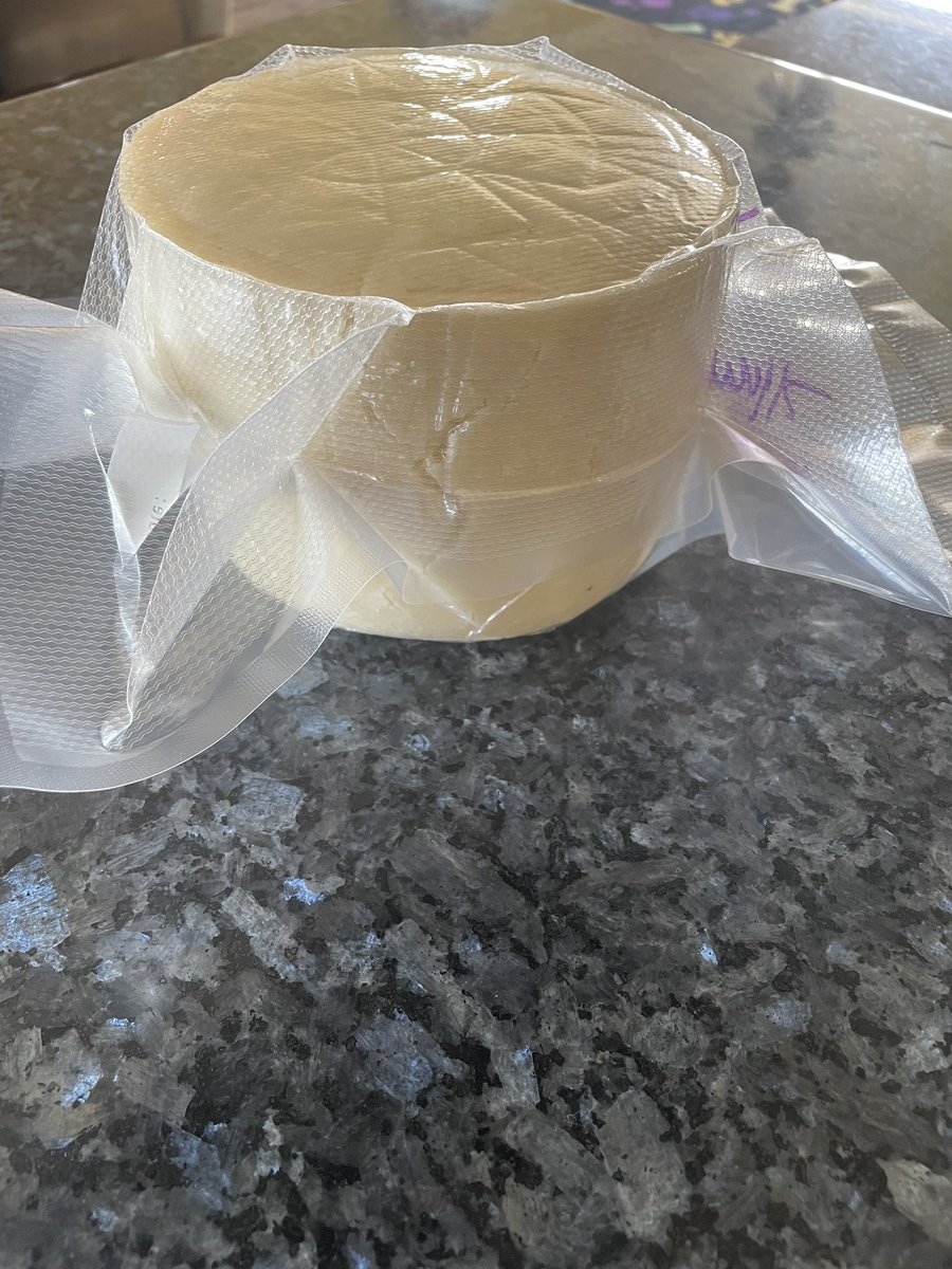 4 1/2 gallons of raw goats milk turned into a farmhouse cheddar. Headed for the ‘cave’ today.  
Why do we kill our milk before we use it???? #rawmilk