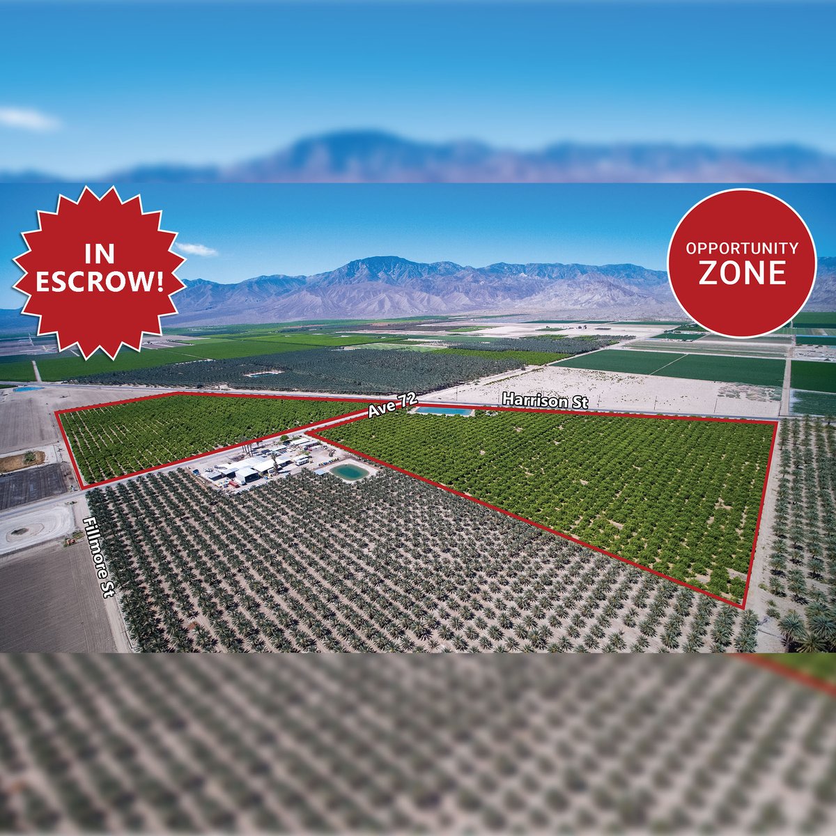 In Escrow! 56 Acre Lemon & Citrus Ranch in Oasis!

Listed by:

Susan Harvey
Emily Harvey

#coachellavalley #coachellavalleyrealestate #forsale #southerncaliforniarealestate #socalrealestate #realestate  #property #agricultureland #agriculturelandproperty #propertysales #Oasis