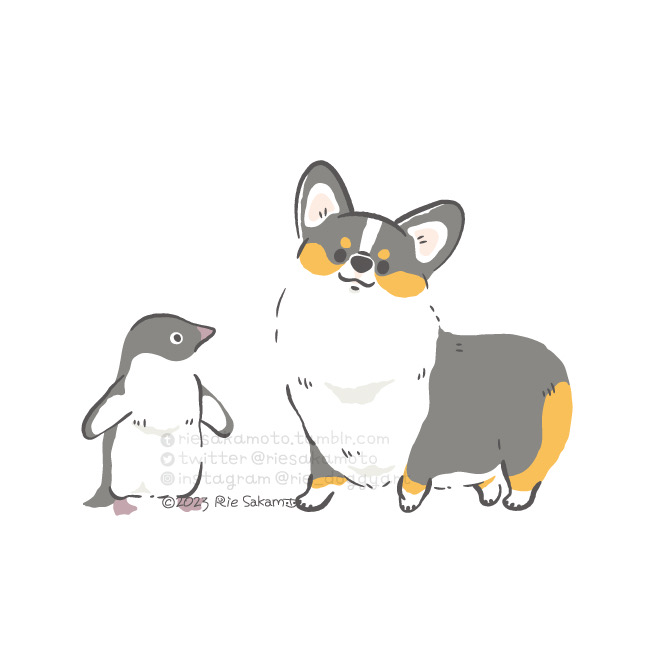 「penguin standing」 illustration images(Latest)