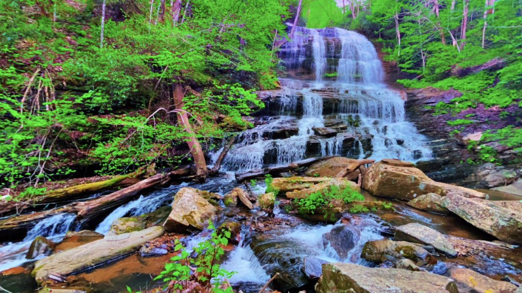 KYWeatherLab's tweet image. Exploring one of my favorite places, in North Carolina, Pearson’s Falls and Glen

#ExploreNC #NC #NCWX #TravelingScientist #Hiker #HikerLife #Waterfall
