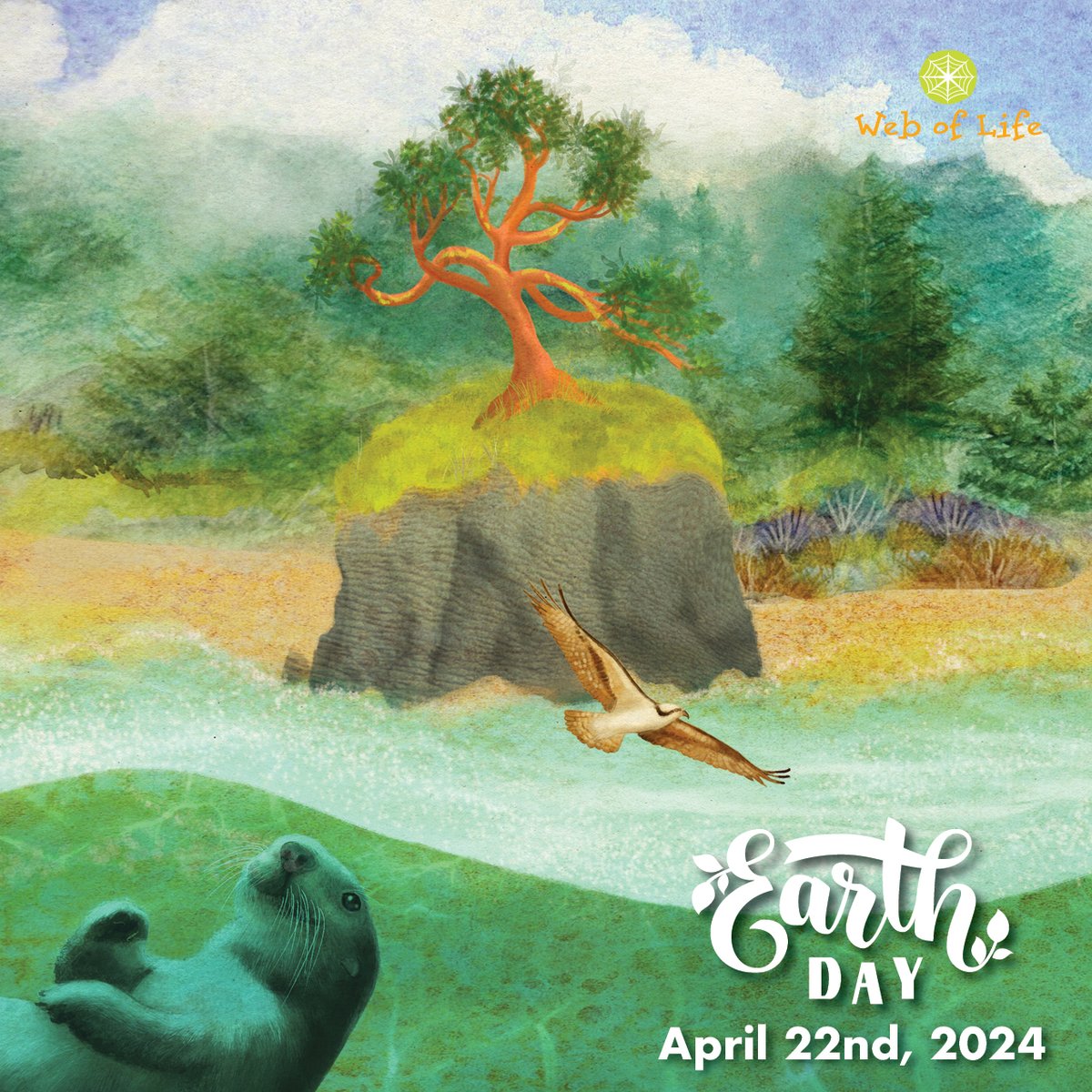 WebOfLifeBooks's tweet photo. Trees, like the Madrone Tree, are homes to some very special creatures. This Earth Day, see what special trees you can see near your home!

THIS OLD MADRONE TREE by @bherkert illustrated by @MarloWordyBird https://t.co/Cg4NcgR8nw