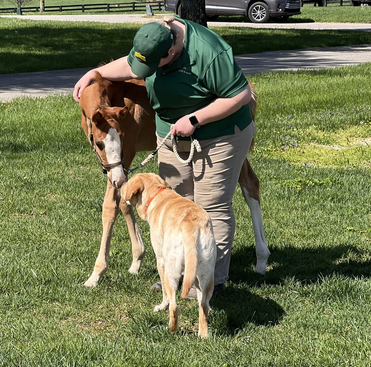 Making friends ❤️ #foalfriday #farmlife