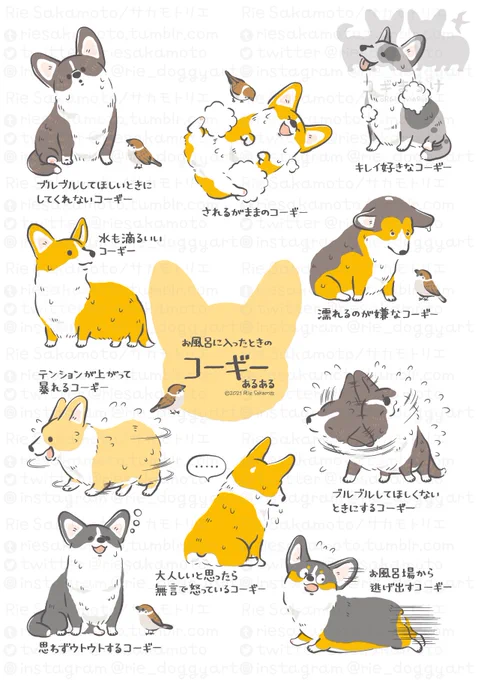 よい風呂の日のお風呂に入ったときのコーギーあるある
#よい風呂の日 