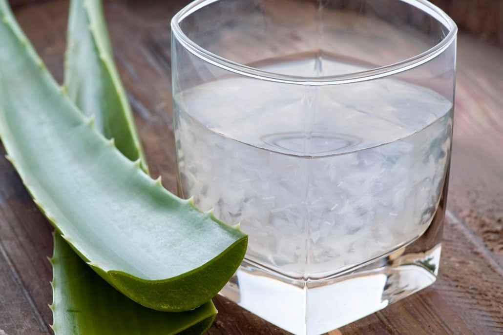 Aloe is most well-known for treating sunburn, but did you know that aloe gel can also soothe the digestive system? Learn how to harvest and freeze your own aloe here⤵️ bit.ly/37qQdMv