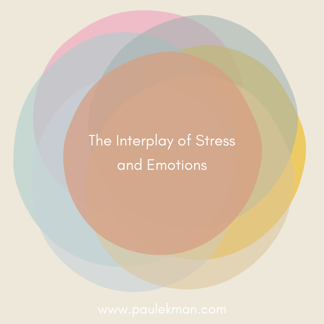 NonverbalCenter's tweet photo. Beyond Pressure: Unveiling the Hidden Connection Between Stress and Emotions https://t.co/0QYJdK1Cjx https://t.co/vSfoacvoWN