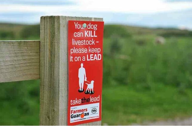 @Humberbeat_RTF any support towards Farmers Gurdian’s Take the Lead initiative, in association with @natsheep, would be greatly appreciated 🙏 it starts with education and growing awareness among those who want to enjoy the countryside. Suffering to farmer and livestock must end