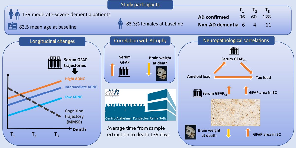 Sánchez-Juan et al. reveal an association between serum GFAP and post-mortem tau pathology in patients with dementia, independent of amyloid deposits. Pre-mortem serum GFAP is negatively correlated with post-mortem brain weight. tinyurl.com/2n66efrs